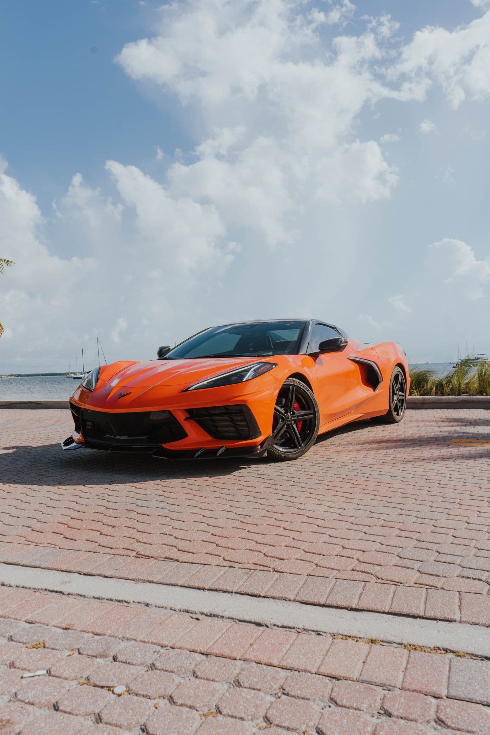 Orange Corvette C8 parked by Biscayne Bay in Miami
