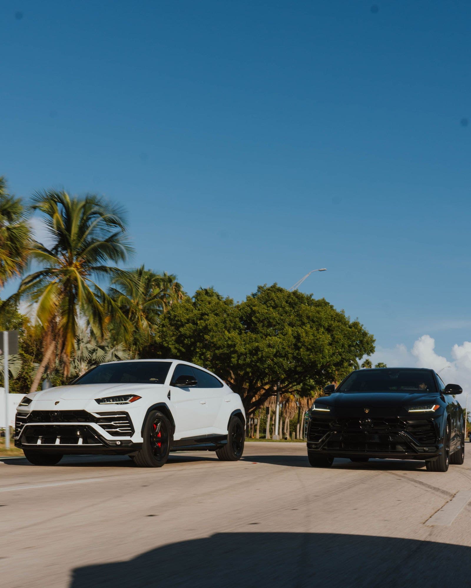 White and black Lamborghini Urus driving together