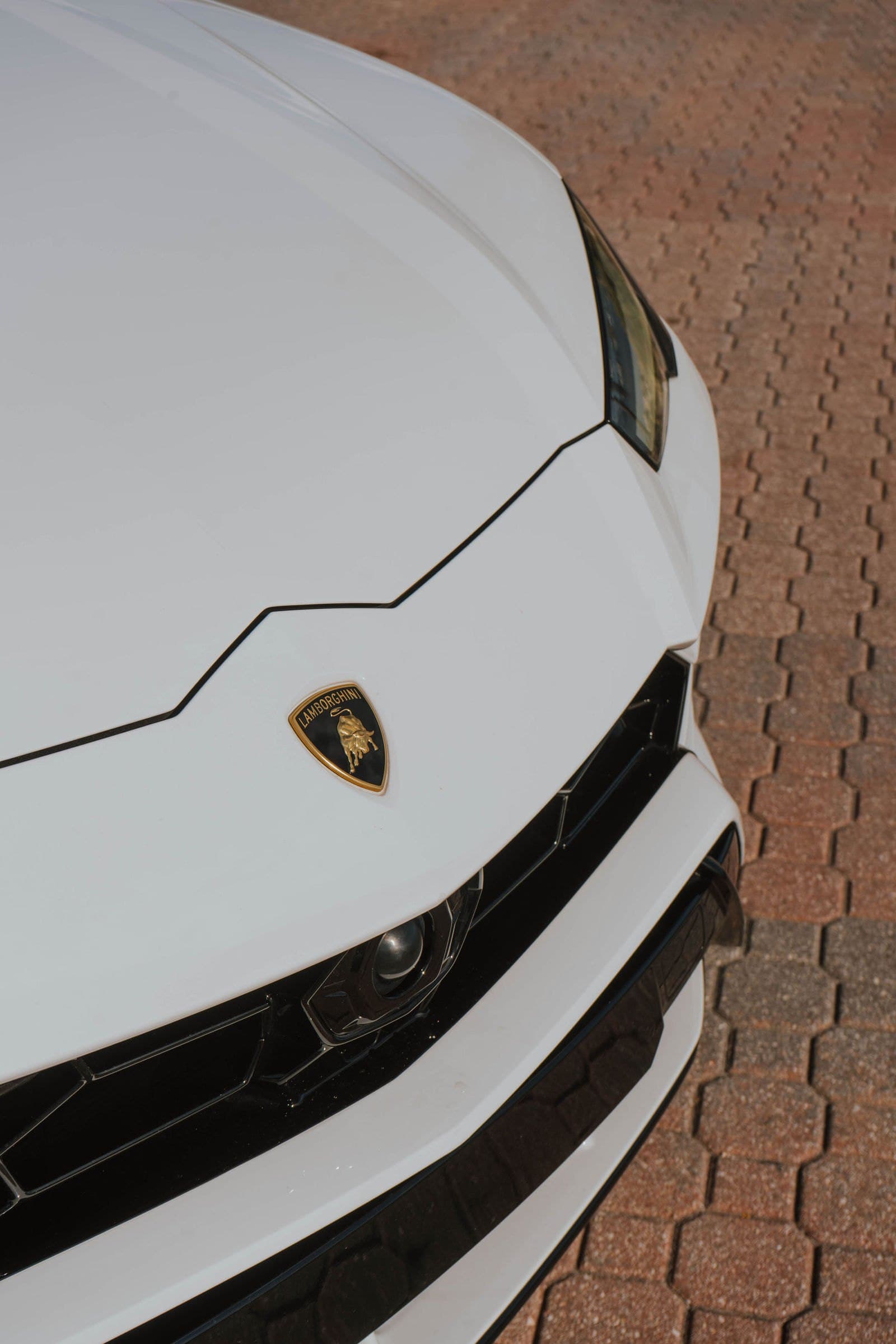 Lamborghini badge on a white Urus hood