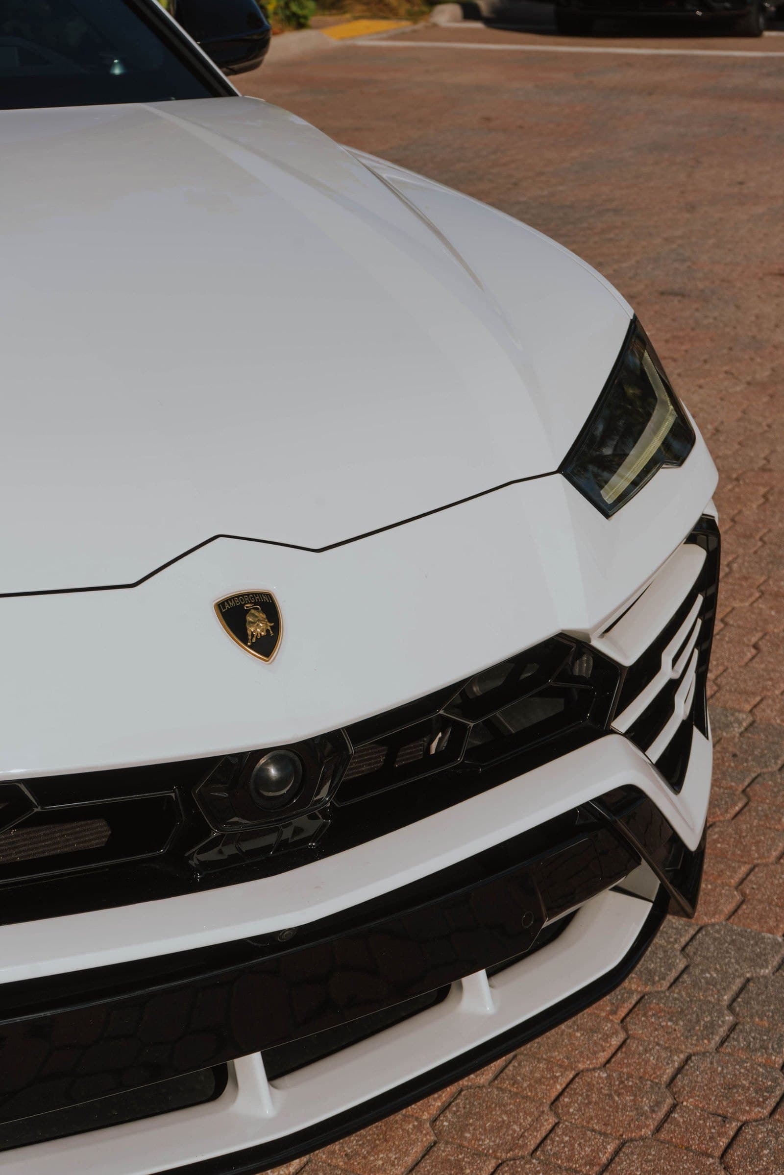 Front grille and Lamborghini badge on a white Urus