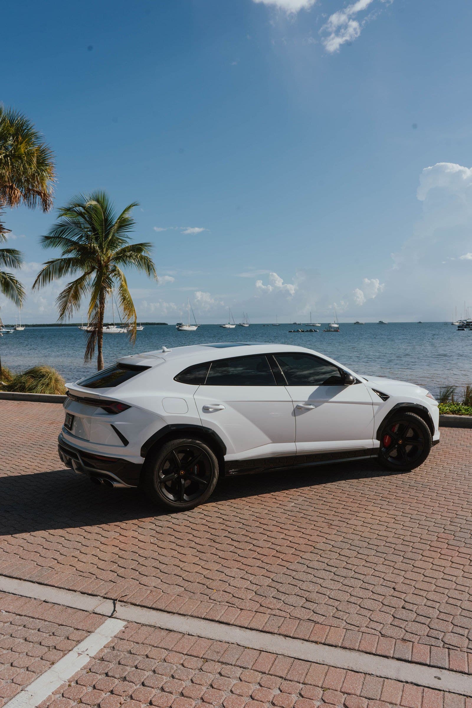 White Lamborghini Urus rear view with palm tree