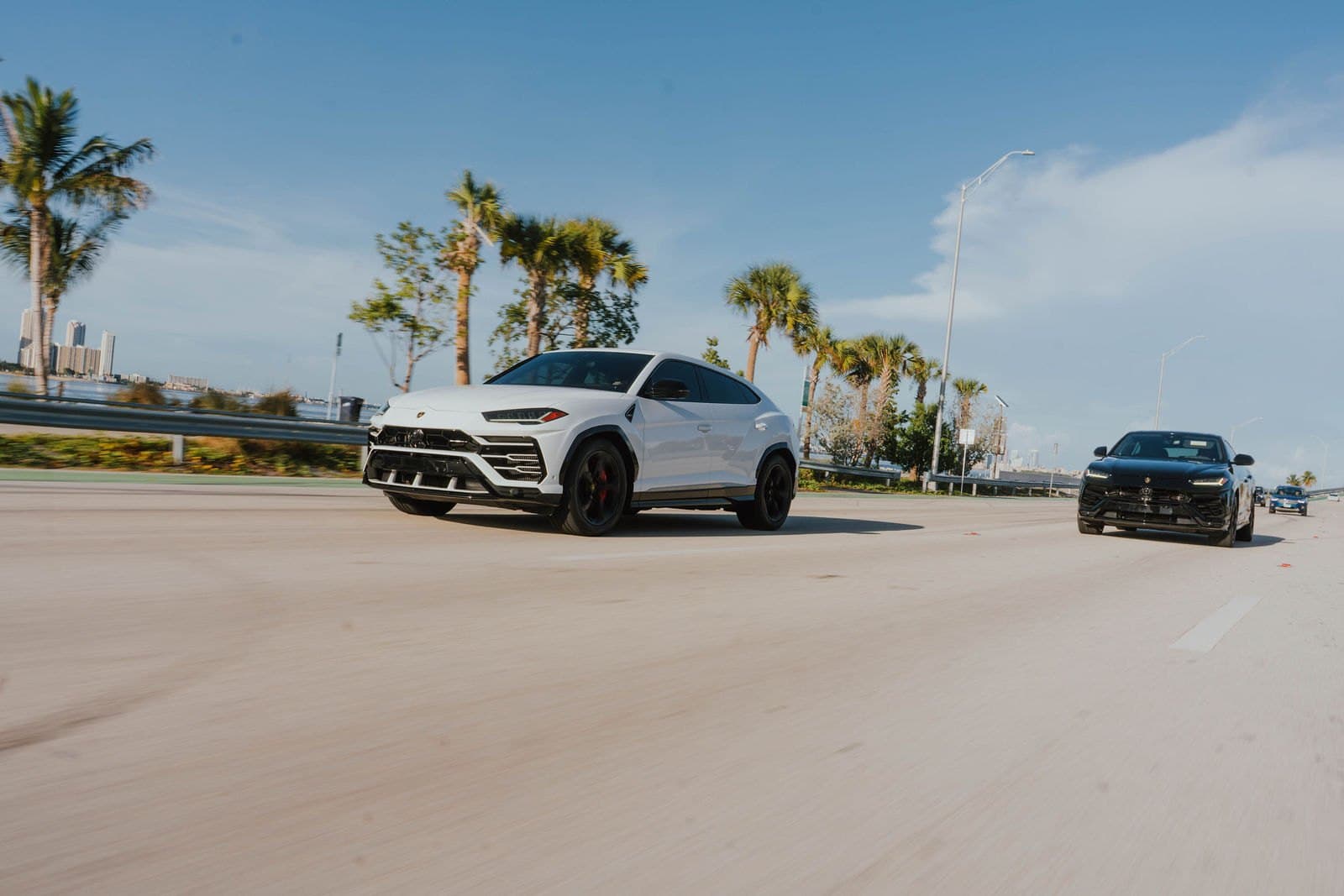 White Lamborghini Urus driving with palm trees behind