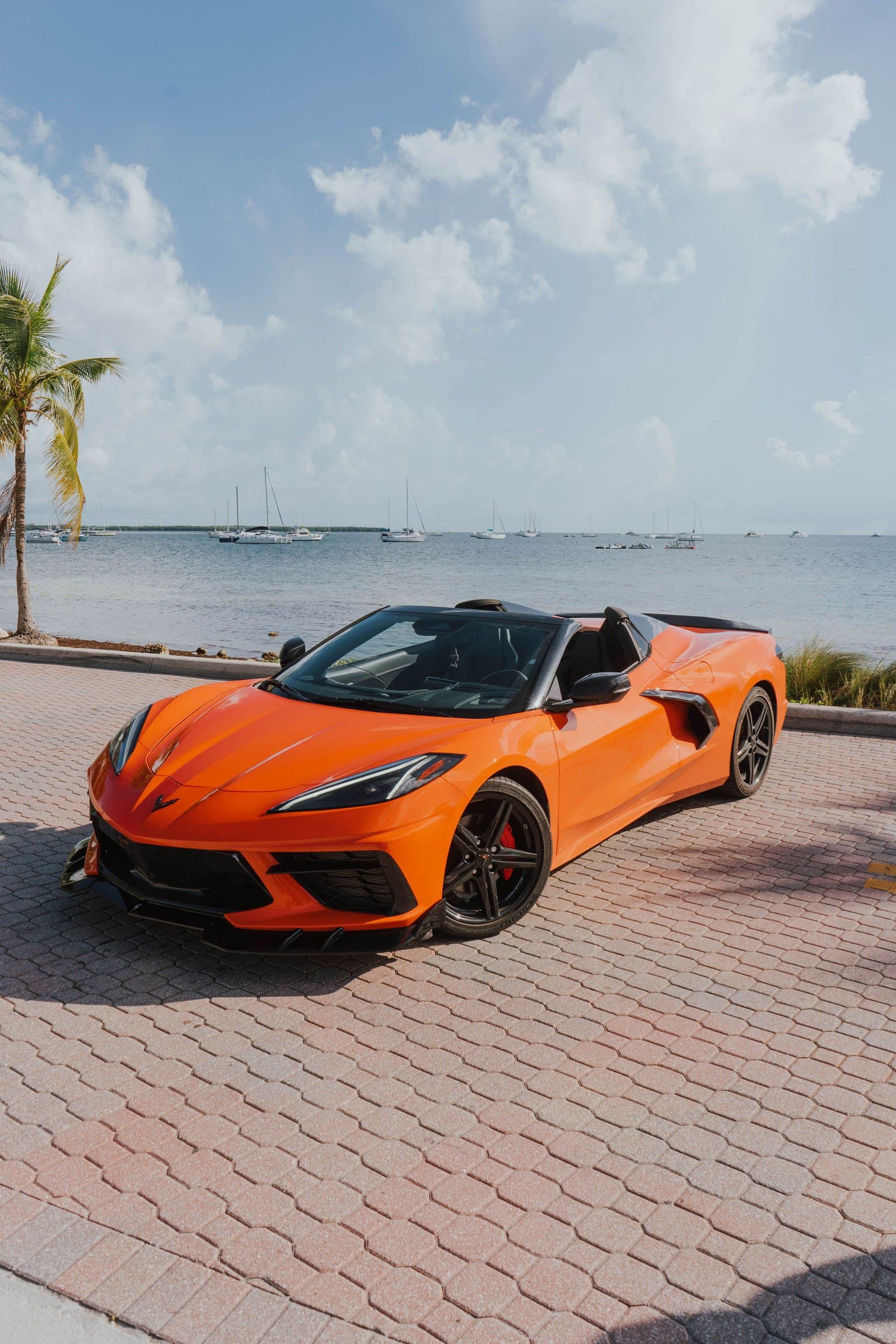 Front view of an orange Corvette C8 convertible with palm trees