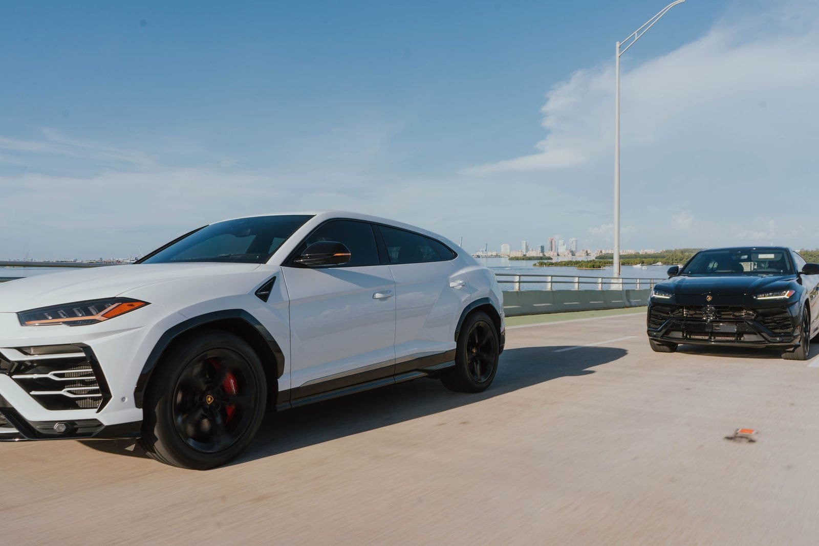 Black and white Lamborghini Urus SUVs driving on the Miami causeway